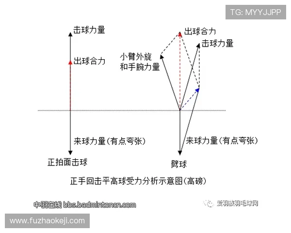 上海羽毛球队反击之路的得失与启示分析 上海羽毛球队反击之路的得失与启示分析