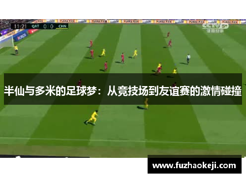 半仙与多米的足球梦：从竞技场到友谊赛的激情碰撞
