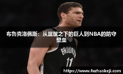 布鲁克洛佩斯：从篮筐之下的巨人到NBA的防守壁垒